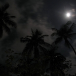 Карибские ночи • Dominicana-Home.com • Продажа и аренда недвижимости в Доминиканской республике