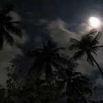 Карибские ночи • Dominicana-Home.com • Продажа и аренда недвижимости в Доминиканской республике