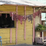 Город Игвэй, сельский центр Доминиканы • Dominicana-Home.com • Продажа и аренда недвижимости в Доминиканской республике
