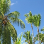 Отель Melia Caribe Tropical 5* • Dominicana-Home.com • Продажа и аренда недвижимости в Доминиканской республике