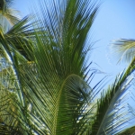 Город и&nbsp;пляжи Bavaro / Punta Cana • Dominicana-Home.com • Продажа и аренда недвижимости в Доминиканской республике