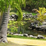 Город и&nbsp;пляжи Bavaro / Punta Cana • Dominicana-Home.com • Продажа и аренда недвижимости в Доминиканской республике