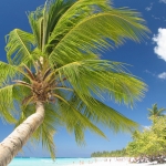 Город и&nbsp;пляжи Bavaro / Punta Cana • Dominicana-Home.com • Продажа и аренда недвижимости в Доминиканской республике