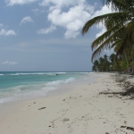 Остров Саона • Dominicana-Home.com • Продажа и аренда недвижимости в Доминиканской республике