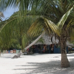 Остров Саона • Dominicana-Home.com • Продажа и аренда недвижимости в Доминиканской республике
