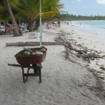 Остров Саона • Dominicana-Home.com • Продажа и аренда недвижимости в Доминиканской республике