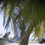 Остров Саона • Dominicana-Home.com • Продажа и аренда недвижимости в Доминиканской республике