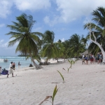 Остров Саона • Dominicana-Home.com • Продажа и аренда недвижимости в Доминиканской республике