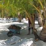 Остров Саона • Dominicana-Home.com • Продажа и аренда недвижимости в Доминиканской республике