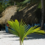 Остров Саона • Dominicana-Home.com • Продажа и аренда недвижимости в Доминиканской республике