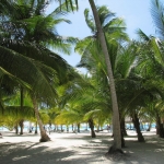 Остров Саона • Dominicana-Home.com • Продажа и аренда недвижимости в Доминиканской республике