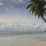 Остров Саона • Dominicana-Home.com • Продажа и аренда недвижимости в Доминиканской республике