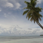 Остров Саона • Dominicana-Home.com • Продажа и аренда недвижимости в Доминиканской республике