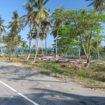 <nobr>Санто-Доминго</nobr> 2005 • Dominicana-Home.com • Продажа и аренда недвижимости в Доминиканской республике